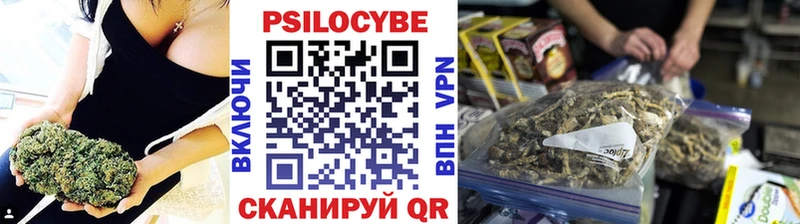 Купить  Рославль  Псилоцибиновые грибы Magic Shrooms 