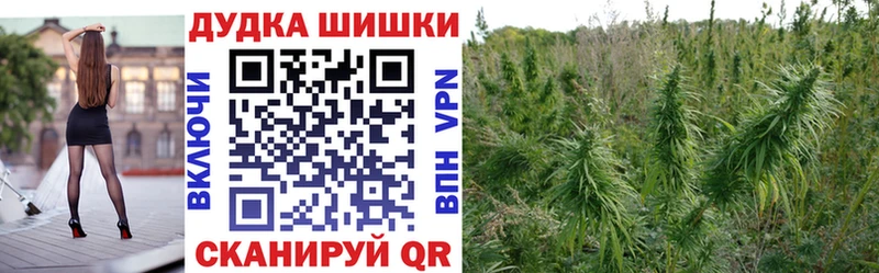 Купить  Рославль  Каннабис Bruce Banner 